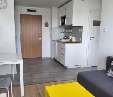 Bialystok Apartment | Apartamenty Homely - Młynowa 60