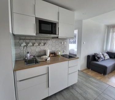 Bialystok Apartment | Apartamenty Homely - Młynowa 60