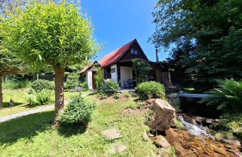 Kudowa Zdroj Apartment | Apartamenty Kudowski Potok