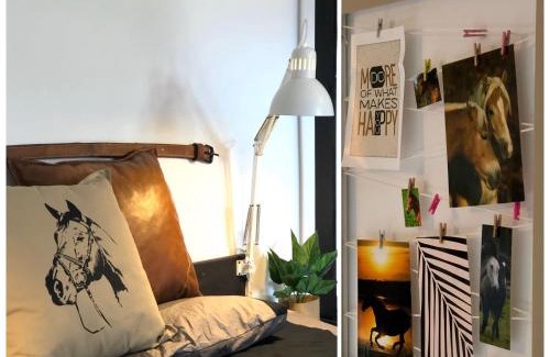 Dabrowno Apartment | apartamenty lajkonik