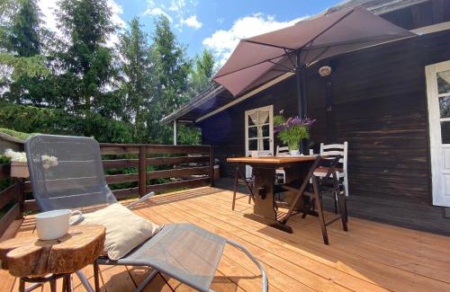 Dabrowno Apartment | apartamenty lajkonik