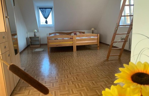 Dziemiany Cabin | Apartamenty na Kaszubach nad stawem
