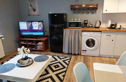 Bielsko-Biala Apartment | Apartamenty NOVA na Krakowskiej No 2