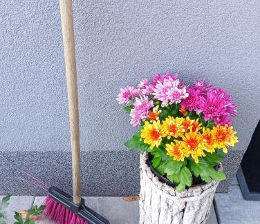 Bielsko-Biala Apartment | Apartamenty Okrętowa 23 Bolek Lolek