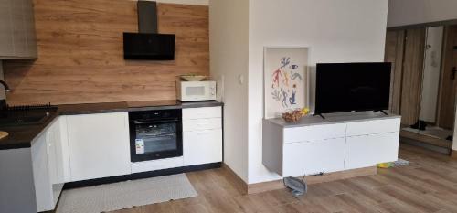 Bielawa Apartment | Apartamenty Paderewski VI