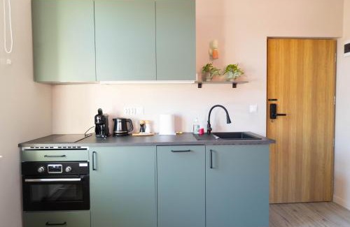 Tarnow Apartment | Apartamenty Rynek 12