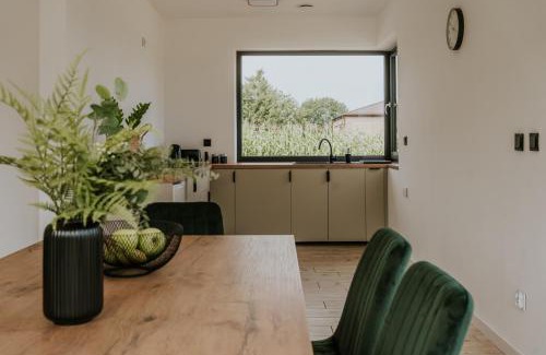 Naleczow Apartment | Apartamenty u Cherubinów