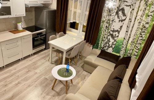 Kudowa Zdroj Apartment | Apartamenty W Brzozowym Gaju