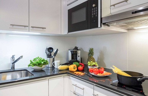 Paquis Navigation Apartment | Aparthotel Adagio Geneve Mont Blanc