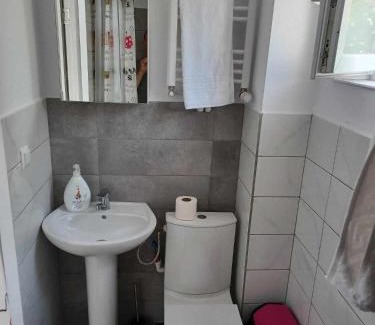 Galati Apartment | ApartHotel Oltului