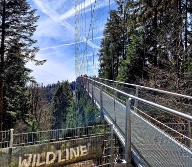 Bad Wildbad Apartment | Aparthotel Schwarzwald Panorama