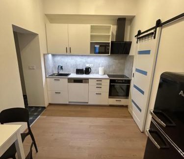 Golcuv Jenikov Apartment | Apartmán 1879