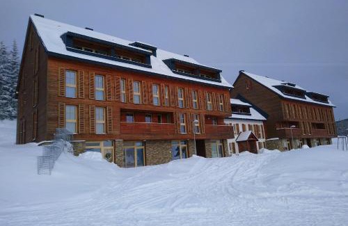 Vitkovice Apartment | Apartmán Horní Mísečky - luxusní ubytování pro dvě rodiny s dětmi