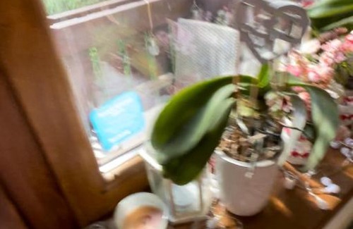 Ruzomberok Apartment | Apartmán Malinka