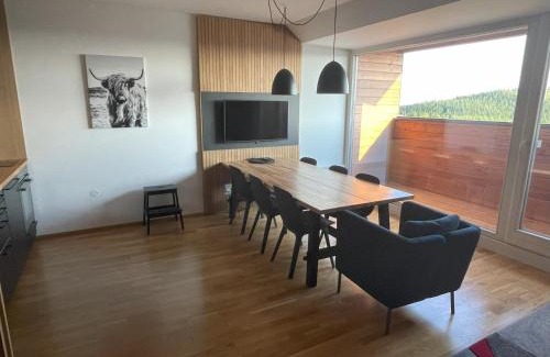 Vitkovice Apartment | Apartmán O18 - Kleč