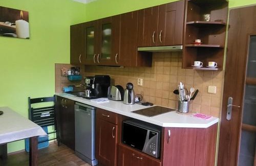 Mala Moravka Apartment | Apartmán Orbit Karlov pod Pradědem