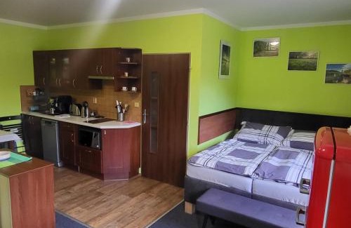 Mala Moravka Apartment | Apartmán Orbit Karlov pod Pradědem