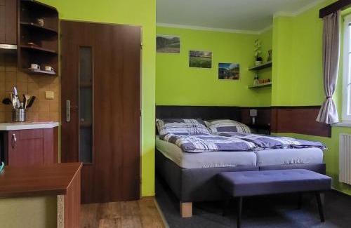 Mala Moravka Apartment | Apartmán Orbit Karlov pod Pradědem