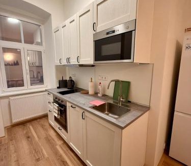 Karlovy Vary Apartment | Apartmán Pohoda - dvojlůžkový, v lázeňském centru