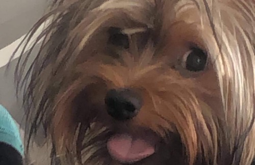 Huncovce Apartment | Apartmán Rio is located in Huncovcen