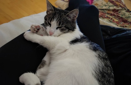 Huncovce Apartment | Apartmán Rio is located in Huncovcen