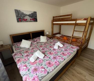 Horni Marsov Apartment | Apartmán s vyhlídkou