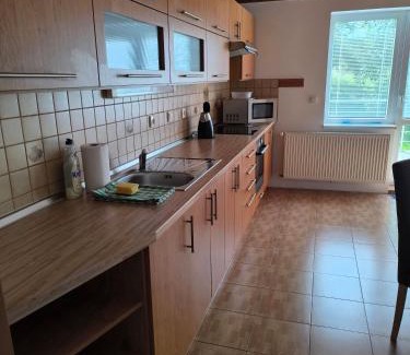 Skuhrov nad Belou Apartment | Apartmán U Švejdy