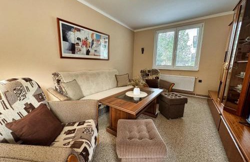 Frymburk Apartment | Apartmán u Náměstí