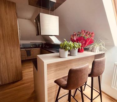 Podebrady Apartment | Apartmán VALORI - 100m2