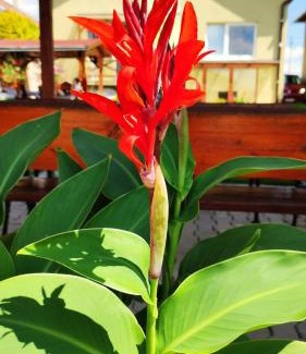 Spissky Stvrtok Apartment | Apartmán Veronika