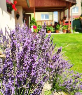 Spissky Stvrtok Apartment | Apartmán Veronika