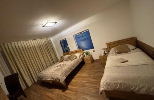 Cifer Apartment | Apartmány Karlov Dvor