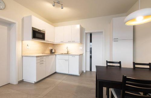 Ricky v Orlickych horach Apartment | Apartmány pod Zakletým - Hotel Říčky