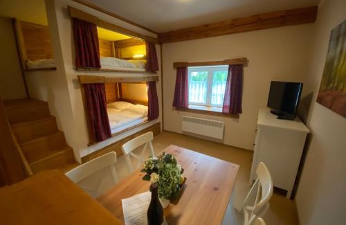 Horni Lipova Apartment | Apartmány U Dvou Smrků