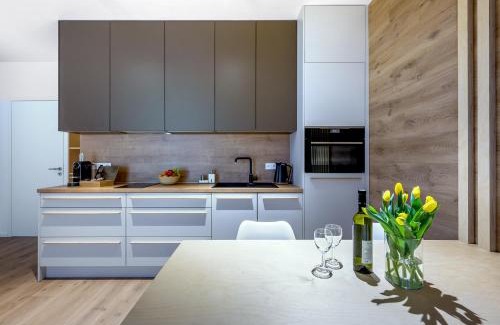 Dolni Morava Apartment | Apartmány u Lesa