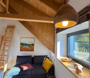 Bedrichov Apartment | apartmány V Lese