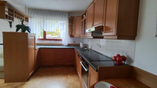Obcina Brezovica Apartment | Apartma Alda