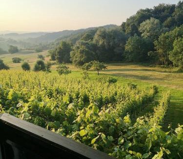 Bostanj House | Apartma Gorca Plevnik