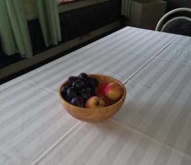 Bostanj House | Apartma Gorca Plevnik