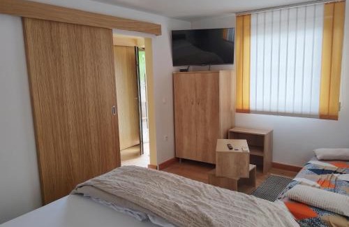 Vidrga Apartment | apartma Grad