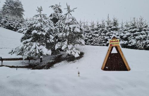 Dravograd Apartment | Apartma Juteršek