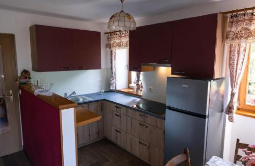 Volce Apartment | Apartma pr' Gamilcu