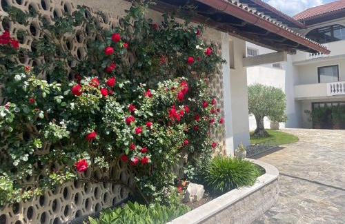 Sezana Apartment | Apartma pri Cesarjevih