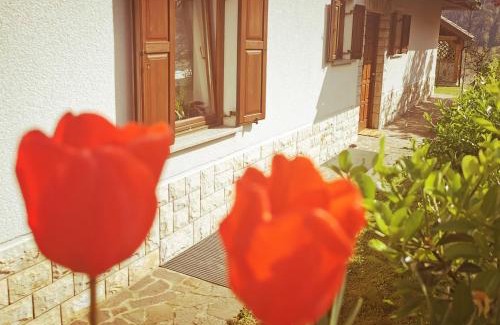 Tolmin Apartment | Apartma Pri noni Silvi
