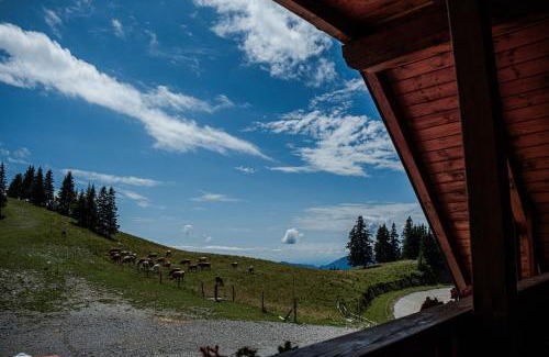 Vidrga Apartment | Apartma TRIJE PLOTI