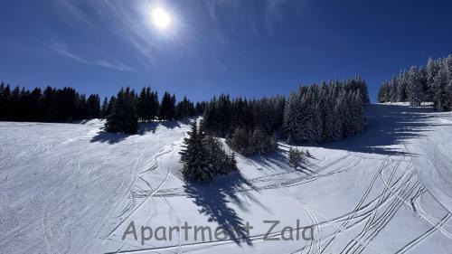 Mozirje Apartment | Apartma Zala, Golte