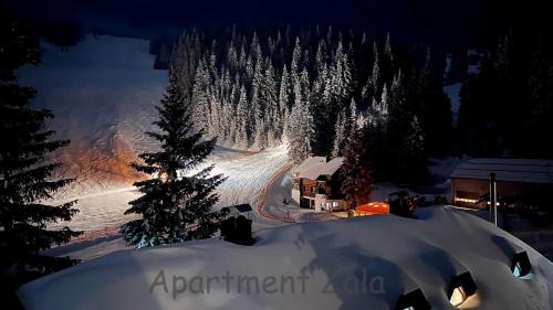 Mozirje Apartment | Apartma Zala, Golte