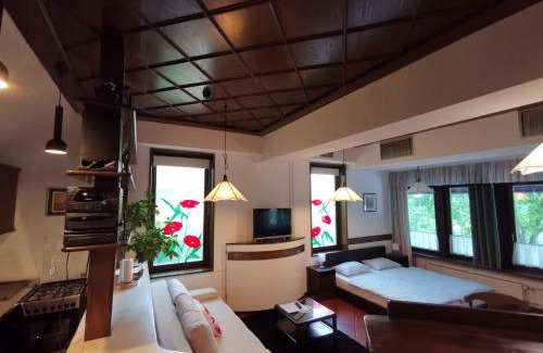 Jesenice Apartment | Apartmaji Mak
