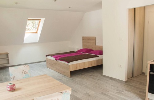 Trenta Apartment | Apartmaji Nataša