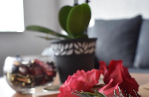 Visegrad Apartment | Apartman 13